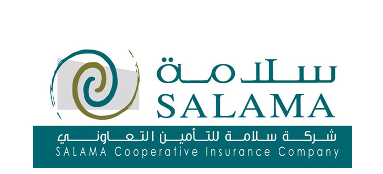 تأمين المركبات سلامة