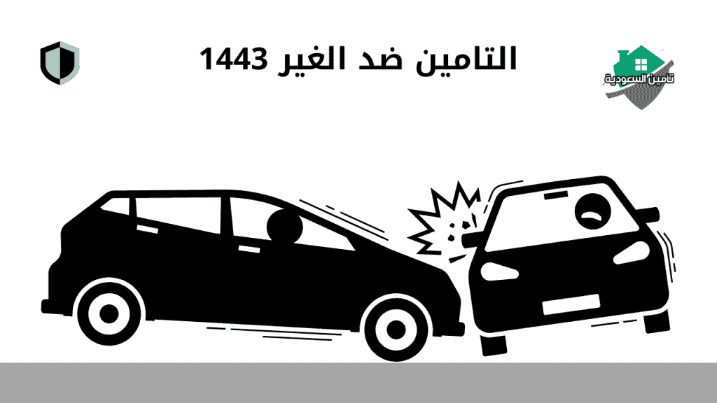 التأمين ضد الغير