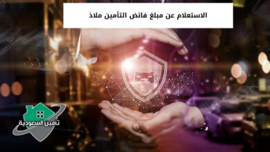 الاستعلام عن مبلغ فائض التأمين ملاذ